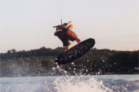 dk-ass3603-tn.jpg (12687 bytes)