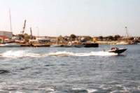 m-360nm-tn.jpg (16726 bytes)